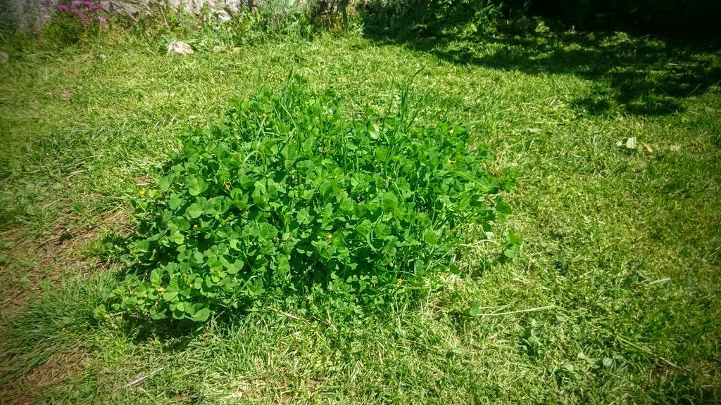 Stressfree Villa Ičići Екстериор снимка