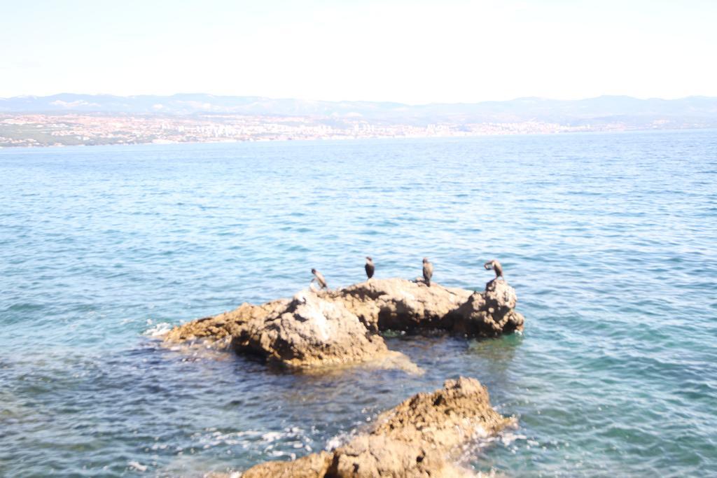 Stressfree Villa Ičići Екстериор снимка